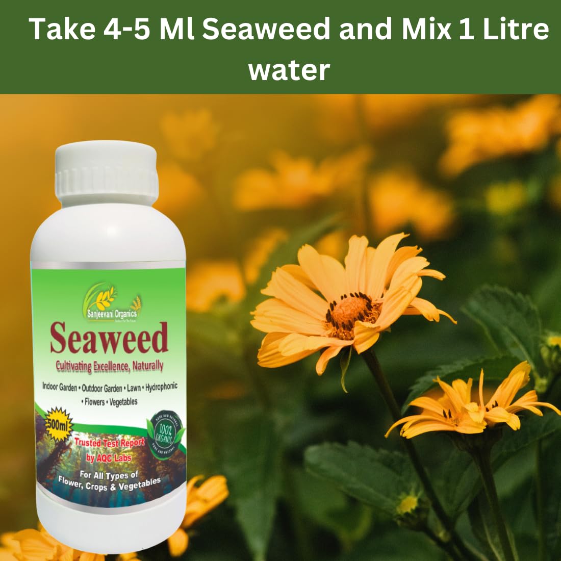 Sanjeevani Organics Seaweed Liquid Fertilizer For Plant Growth Supplement | Home Garden Indoor Plants | Flower Rooting Harmone Soil Fertilizer (1000 Ml)