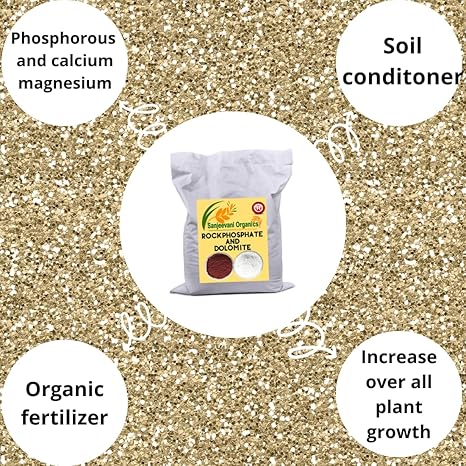 Sanjeevani Organics Enhancing Plant Growth with Rock Phosphate and Dolomite A Powerful Soil Amendment Combination