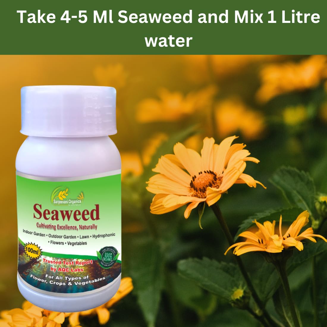 Sanjeevani Organics Seaweed Liquid Fertilizer For Plant Growth Supplement | Home Garden Indoor Plants | Flower Rooting Harmone Soil Fertilizer (100 ml)