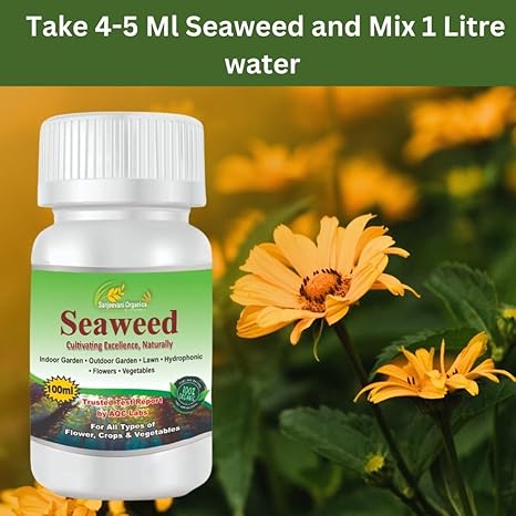 Sanjeevani Organics Seaweed Liquid Fertilizer For Plant Growth Supplement | Home Garden Indoor Plants | Flower Rooting Harmone Soil Fertilizer (100 ml)