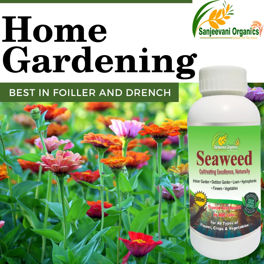 Sanjeevani Organics Seaweed Liquid Fertilizer For Plant Growth Supplement | Home Garden Indoor Plants | Flower Rooting Harmone Soil Fertilizer (500 ml)