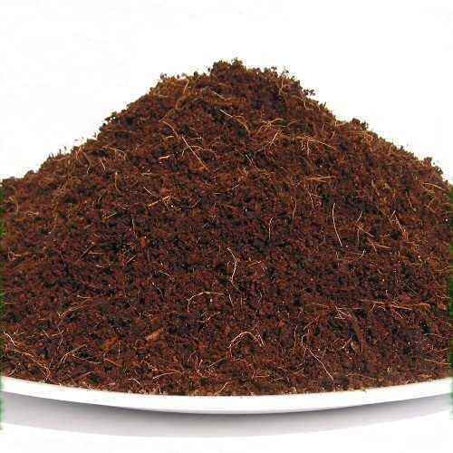 Sanjeevani Organics Peat Moss for Gardening & Seed Starting – 100% Natural Soil Conditioner for Healthy Plant Growth