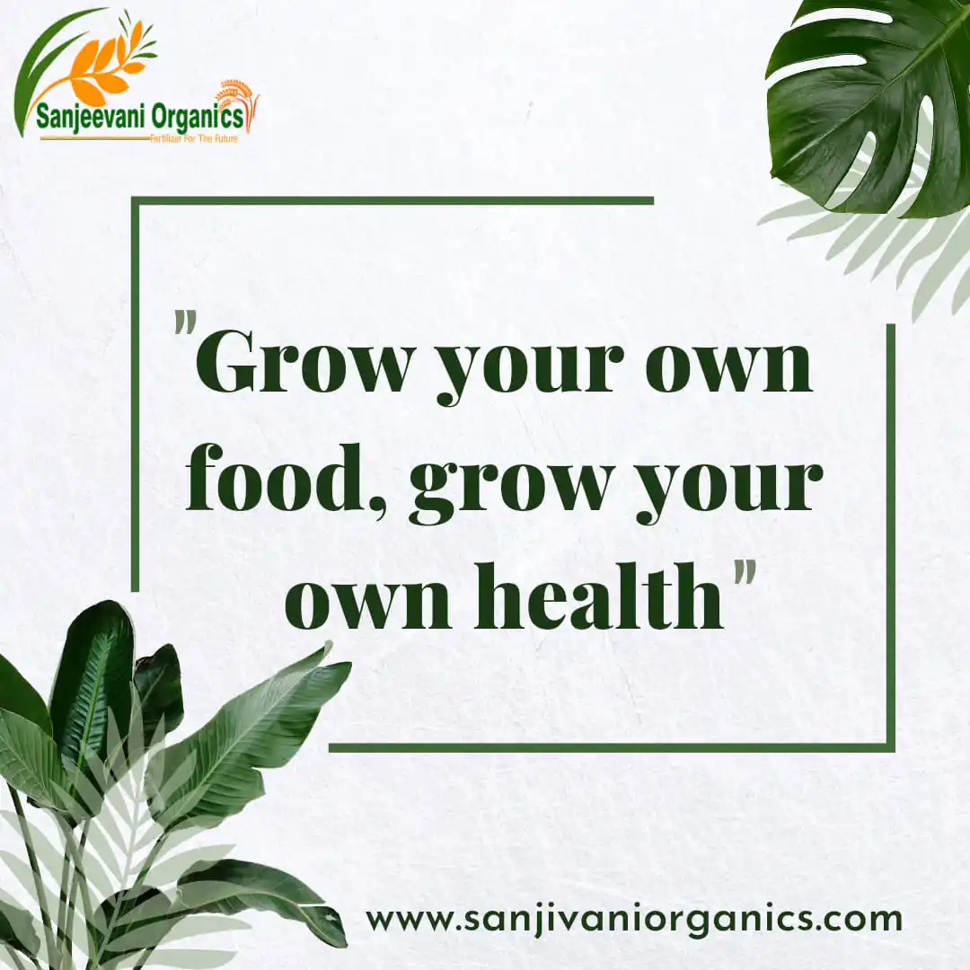 Sanjivani Organic