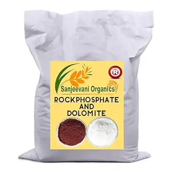 Sanjeevani Organics Enhancing Plant Growth with Rock Phosphate and Dolomite A Powerful Soil Amendment Combination