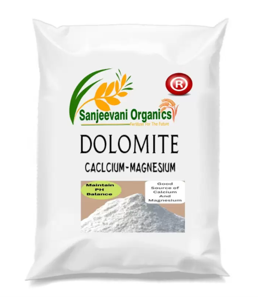 Sanjeevani Organics Dolomite for Plants and Crops | Natural Soil Conditioner & pH Balancer | Enhances Nutrient Absorption | 1 Kg