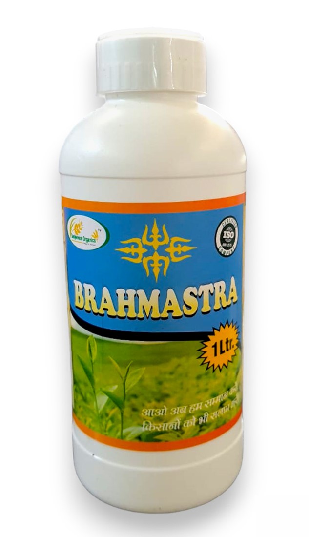 Sanjeevani Organics Brahmastra Bio-Stimulants | Powerful Organic Growth Booster for All Crops | Enhances Yield & Plant Health | 100% Natural Solution | 1 Litre