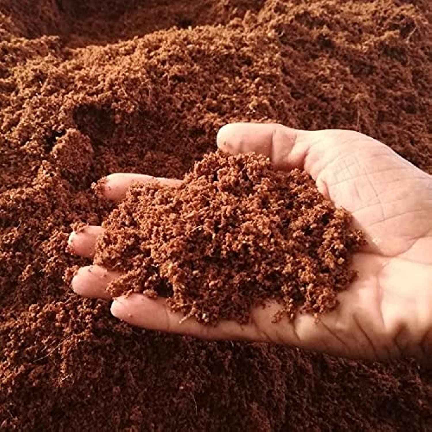 Sanjeevani Organics Peat Moss for Gardening & Seed Starting – 100% Natural Soil Conditioner for Healthy Plant Growth